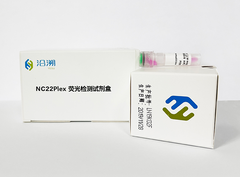 NC22-(2)